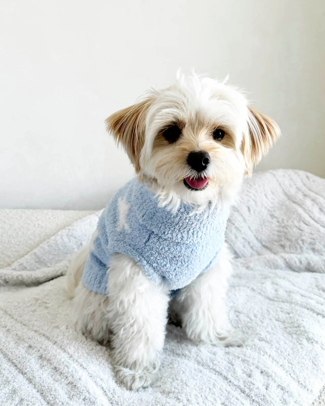 Blue Star Fuzzy Pet Sweater