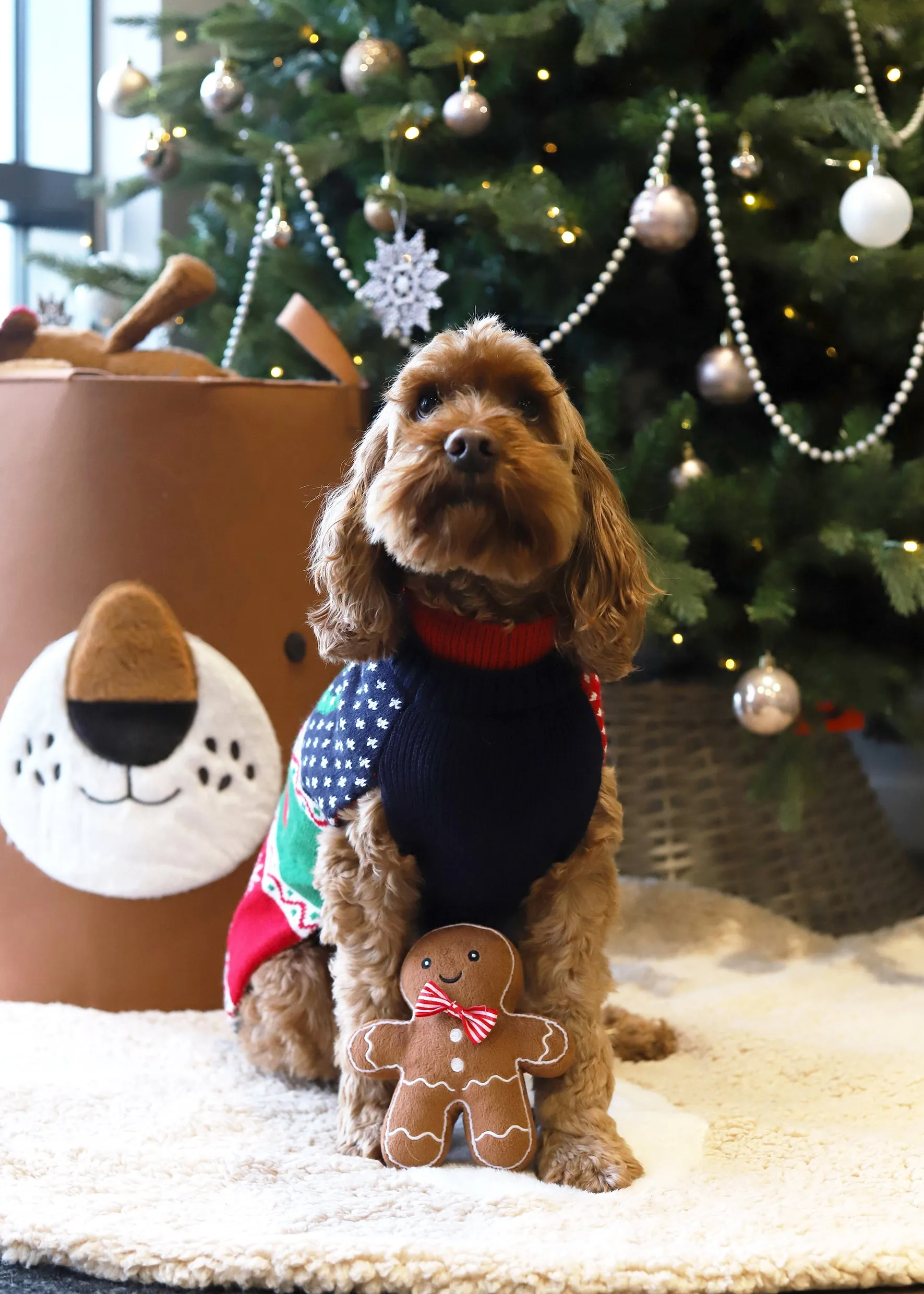 Gingerbread Jumper Christmas Eve Gift Pack | Festive Dog Box by Cupid & Comet