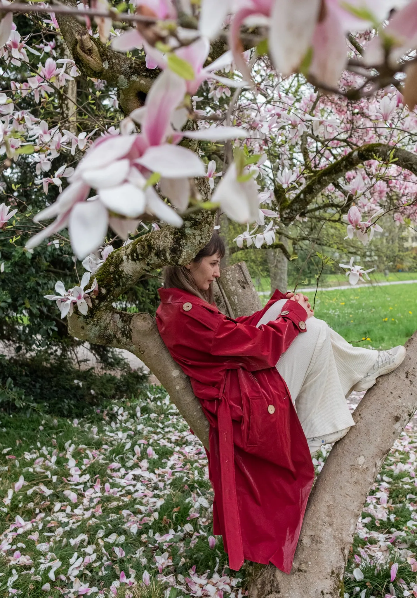 Trench Coat - Burgundy Red