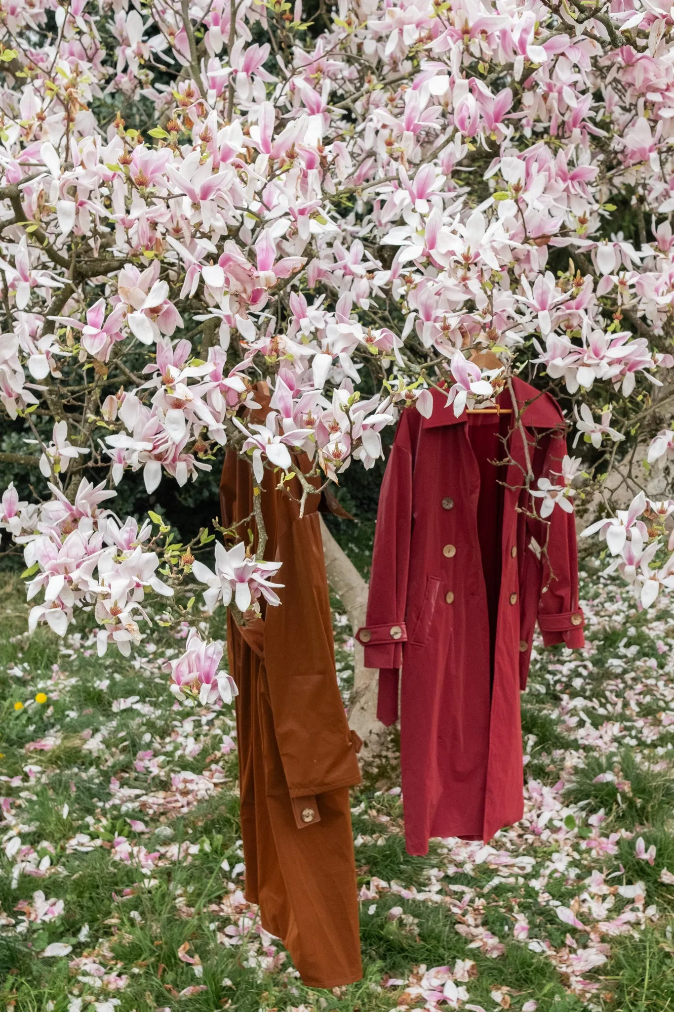 Trench Coat - Burgundy Red