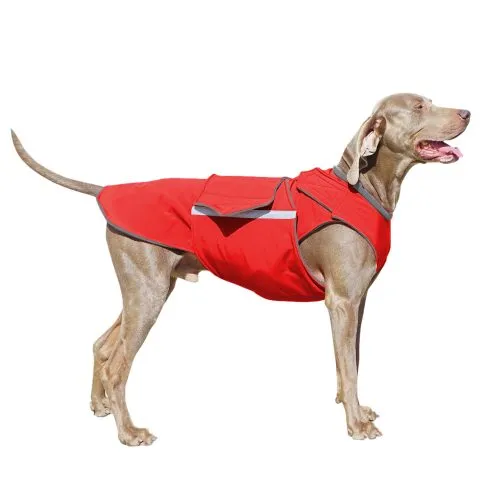 WEIMARANER SOFTSHELL DOG COAT   NECK WARMER / MADE TO ORDER