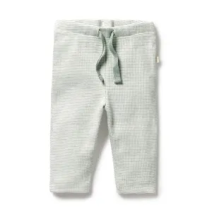 Wilson   Frenchy Organic Stripe Rib Legging - Fern